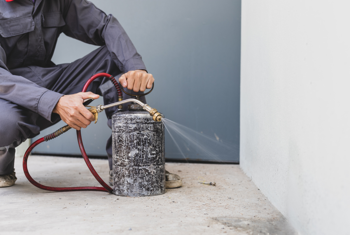 limites du bricolage